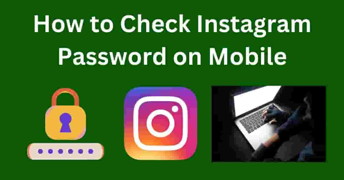 How to Check Instagram Password on Mobile